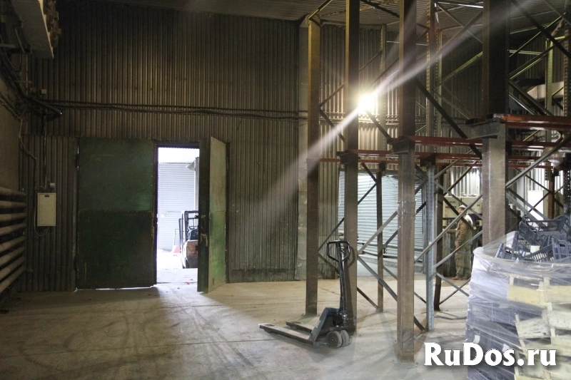 Сдам среднетемпературный склад 788 м2, ул. Свердлова, 41Б изображение 4