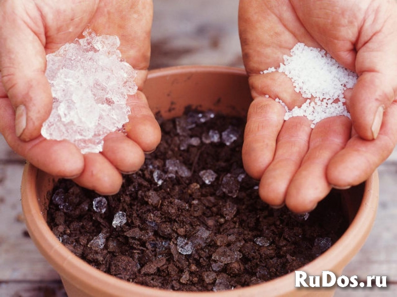 Гидрогель аквасорб фото