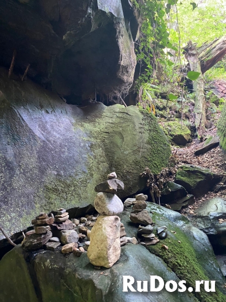 Удивительные способности и знания у Александра Богдановича Литвин изображение 3