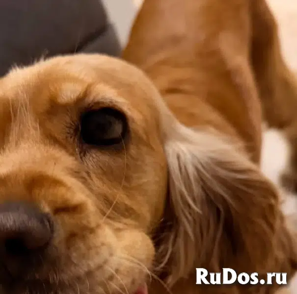 Волонтеры, обязательно к прочтению изображение 5