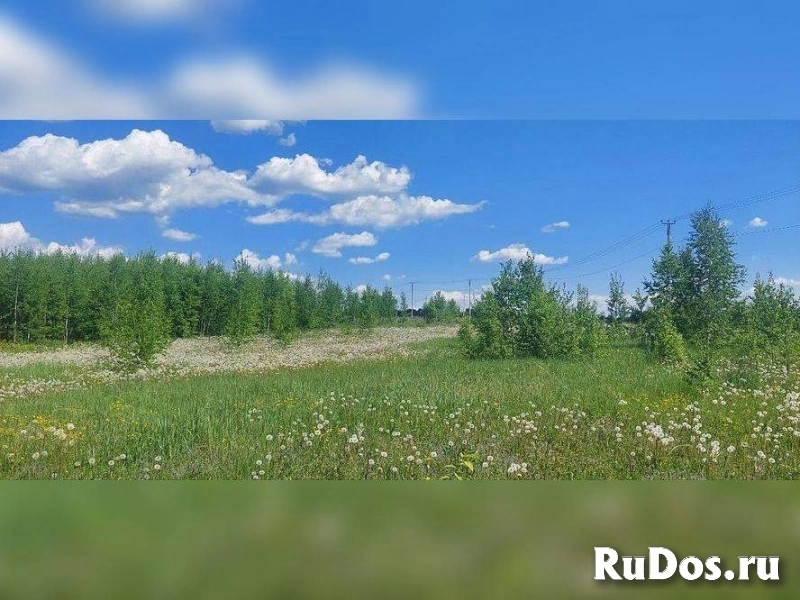 Продам участок 81.72 сот. изображение 4