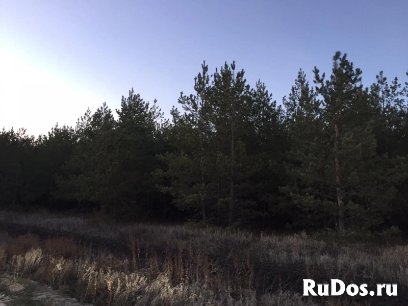 Продам землю изображение 4