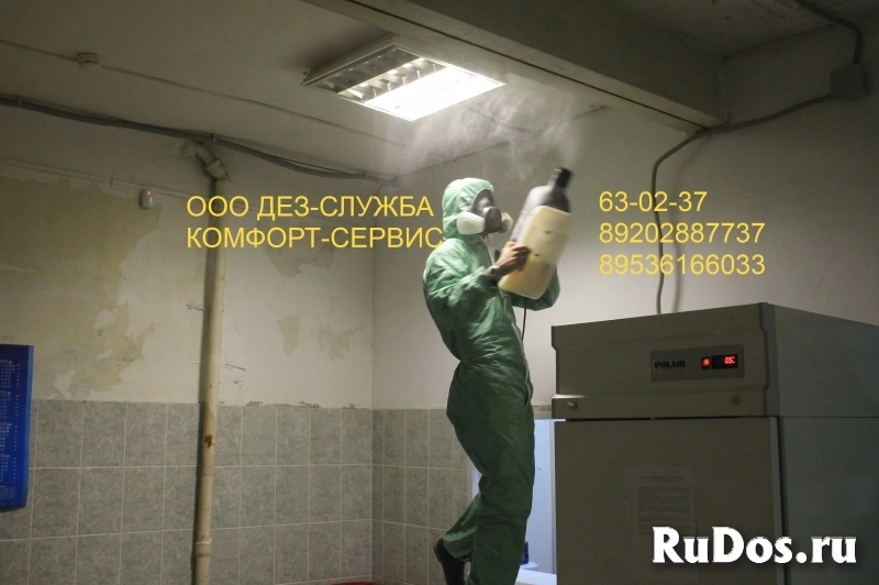 Уничтожение клопов с сервисным обслуживанием 13 месяцев фото