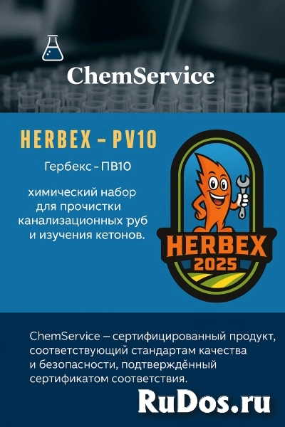 Гербекс пв10 (HERBEX PV10) от ChemService - чистка труб фото