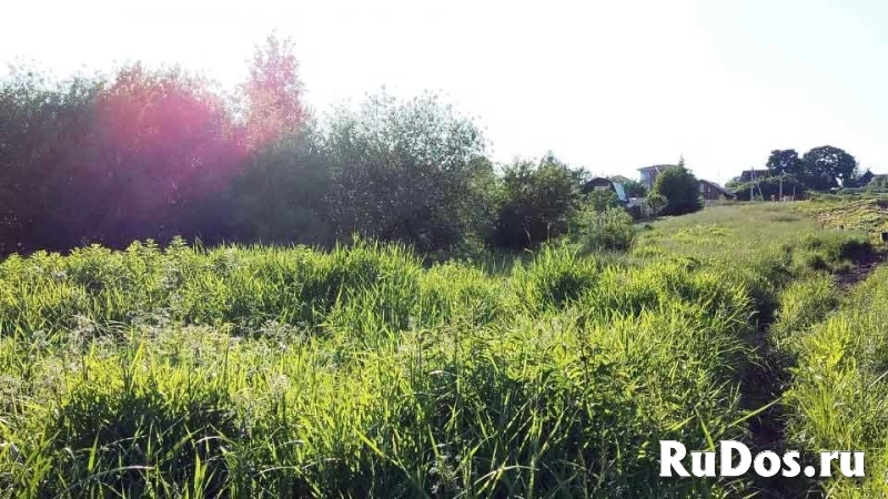 Участок 5.96 сотки — 1 800 000 руб. — газ и свет по границе изображение 4