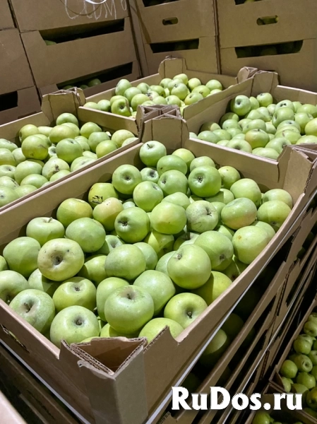 Яблоки оптом в Новосибирске от прямого поставщика фотка