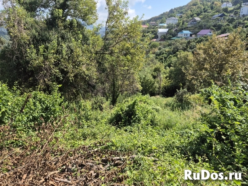 Земля в Сочи, ул. Земляничная фото