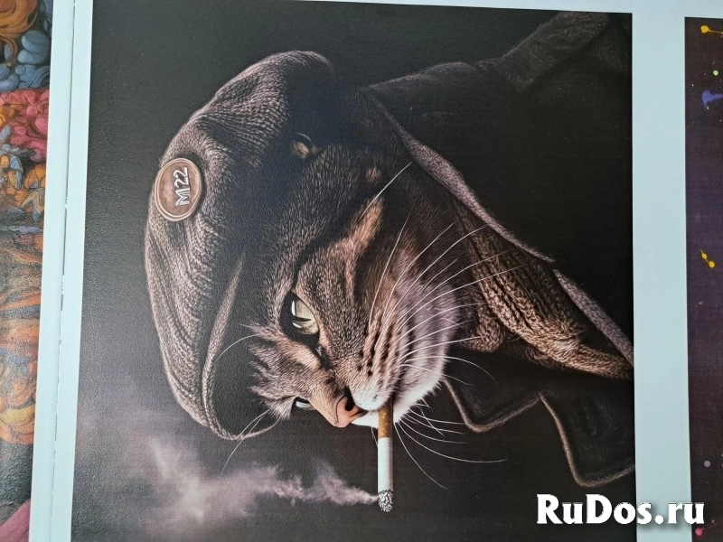 Вертикальная УФ печать на любых поверхностях,роспись стен. изображение 11