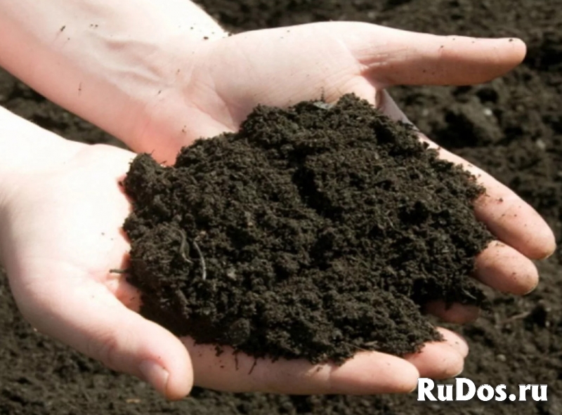 Чернозём Медовка, доставка чернозёма в Медовке и Воронежской фото