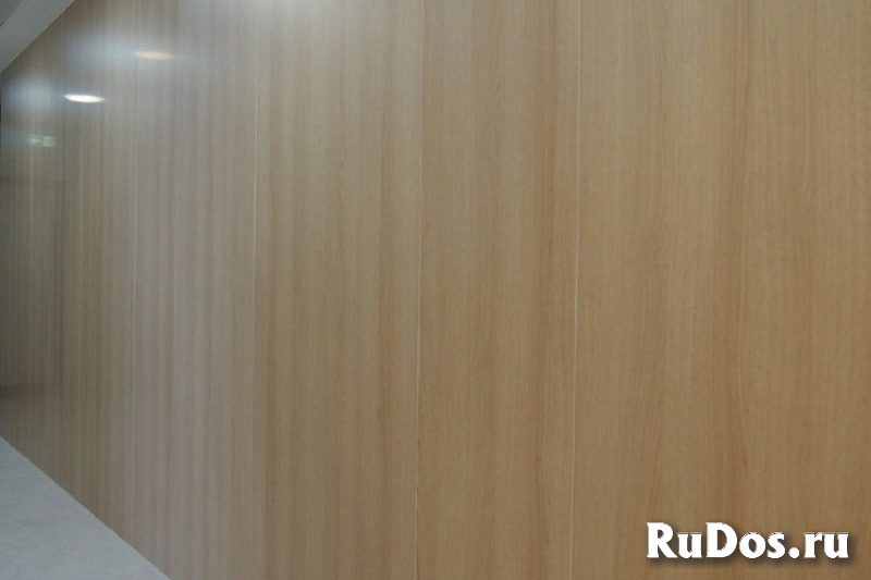 Архитектурные конструкционные панели HPL пластик ДБСП, пластик Г1 изображение 3