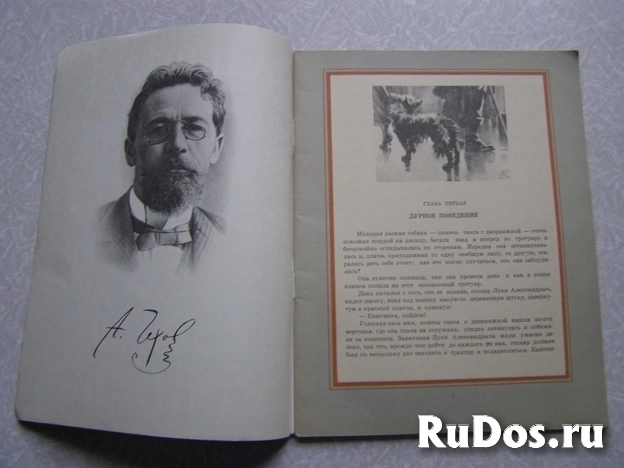 ва · Книги и журналы · Книги книга для детей Чехов Каштанка фотка