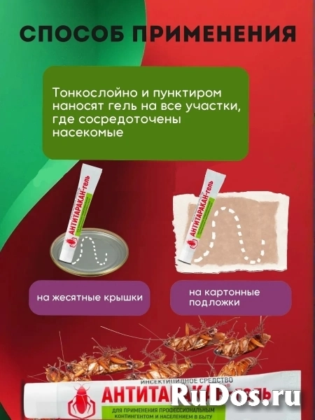 Средство от тараканов Антитаракан гель профессиональный 35 гр изображение 5