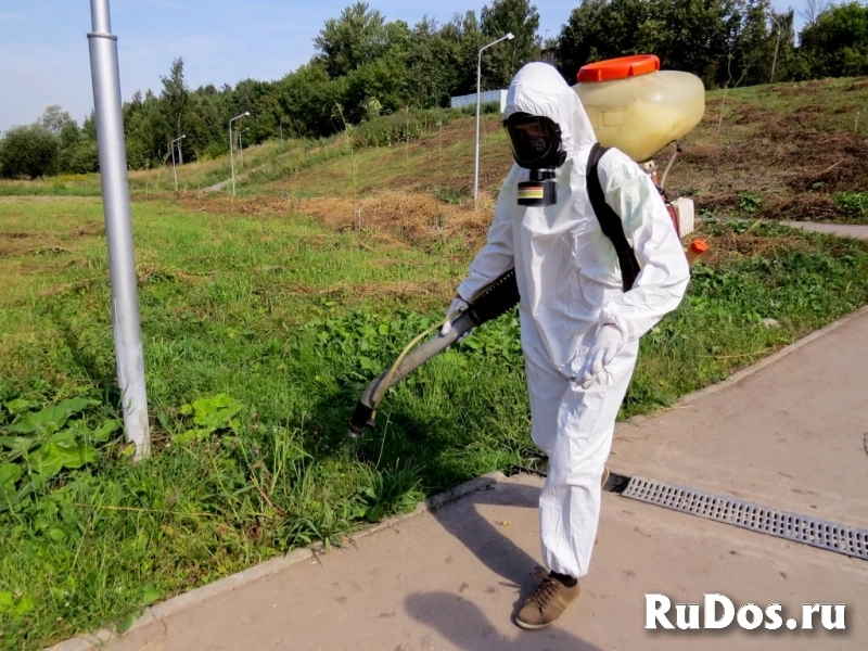 Уничтожение клещей и комаров Зубцов фотка