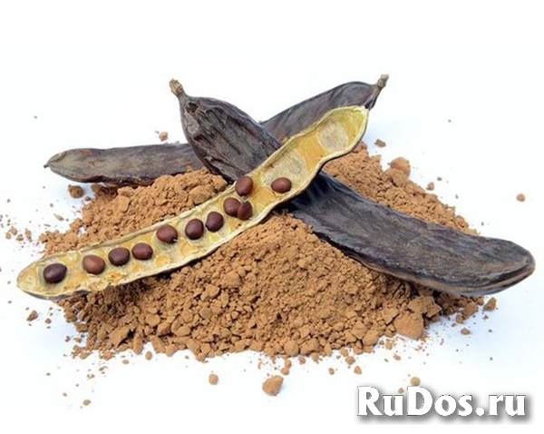 Кэроб – плоды рожкового дерева фото