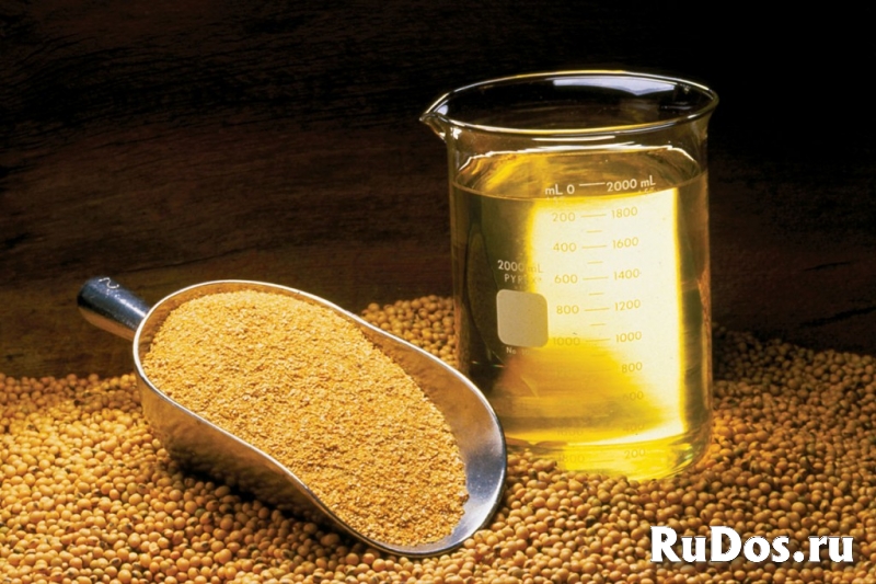 Производство растительных масел изображение 3