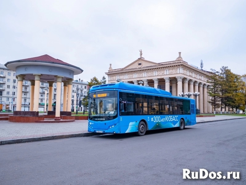 Водитель автобуса (ученик водителя) фото