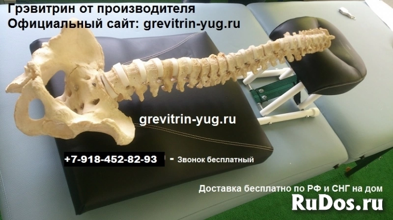 Тренажер Грэвитрин - Мини для вытяжения позвоночника дома цена фото