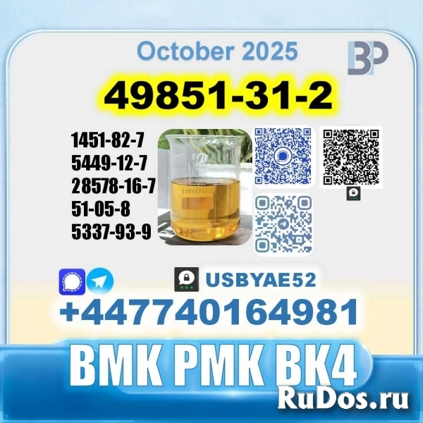 49851-31-2 BVF 2-Bromovalerophenone PMK factory stable supply изображение 6