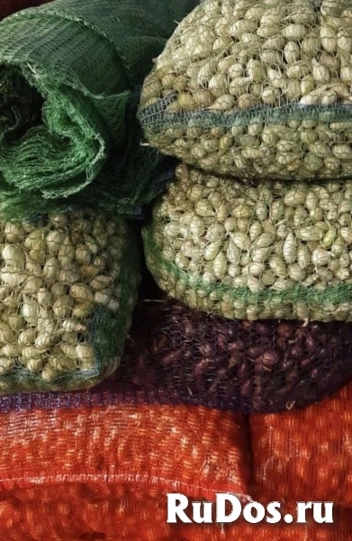 Продам лук севок собственного производства. изображение 5