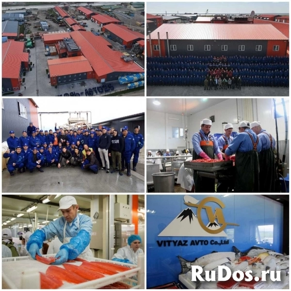 Обработчик рыбы фотка