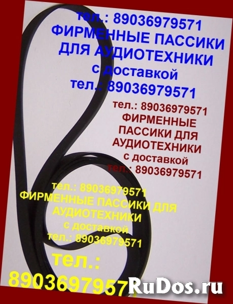 Пассики для Music Public Kingdom TT21 фирменные ремни аудио фото