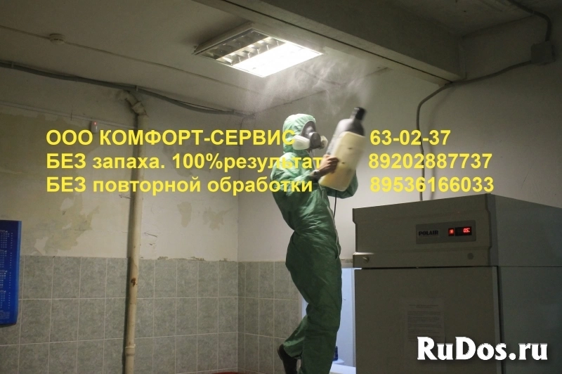 Уничтожение клопов изображение 4