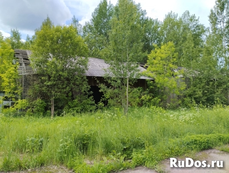 Продам коммерческую недвижимость 2623.9 м2 фотка