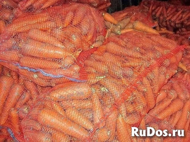 Овощи для борща оптом изображение 10