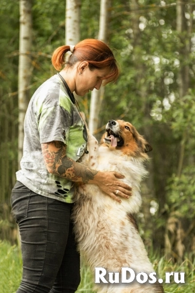 Леся, Лисичка, девочка, 2 года, путешественница и умница! изображение 7