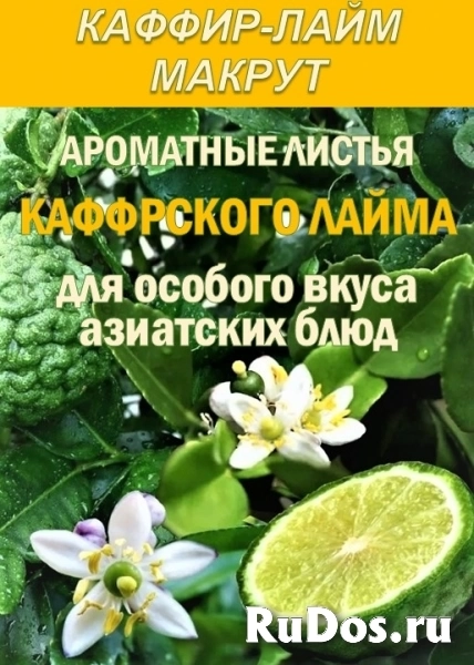 Гидролаты и функциональные купажи ProGynuru — сила тропических растений для здоровья и красоты. изображение 7