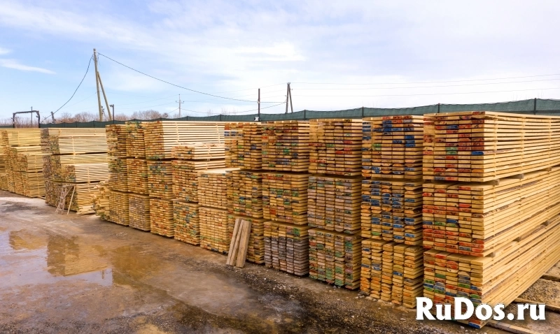 Доска 50х200х6000мм сорт-3 фото