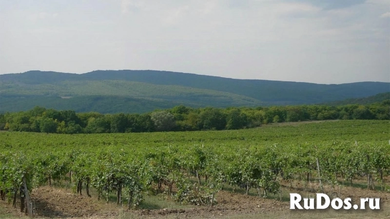 Дом в виде замка под гостиницу изображение 11
