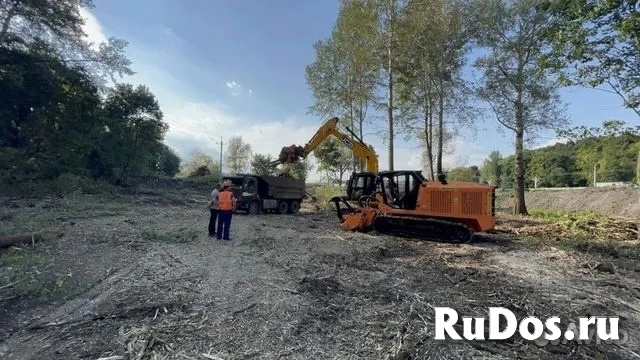 Расчистка территорий от деревьев и пней от 1 Га изображение 8