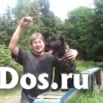 Кинолог: профессиональная дрессировка собак изображение 7