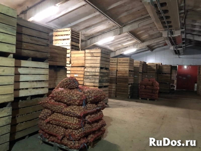 Продажа сельскохозяйственного производства изображение 5