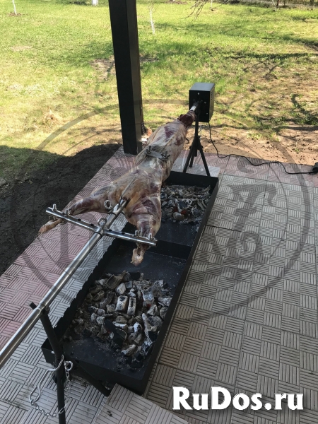 Производство и продажа электро-вертелов изображение 6