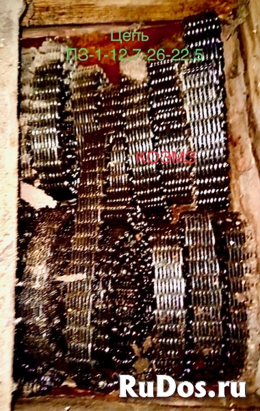 ПЗ-1-12.7-26-22,5 Цепь приводная зубчатая фото