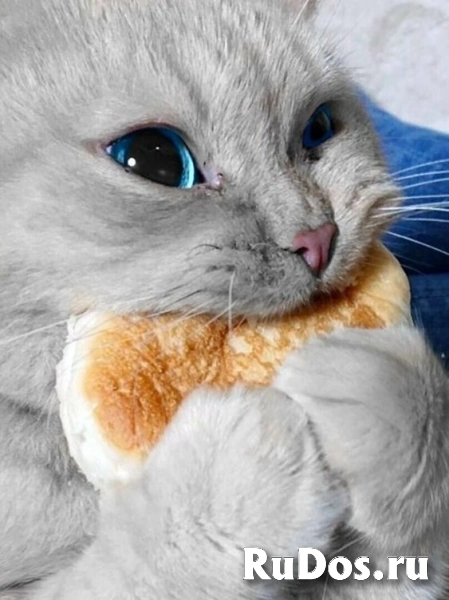 Грузчик на производство корма в г. Ефремов фото