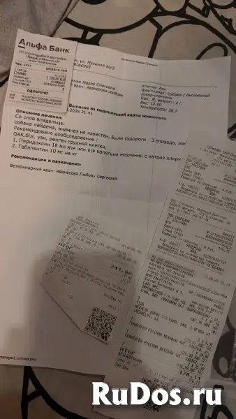 Волонтеры, обязательно к прочтению изображение 12
