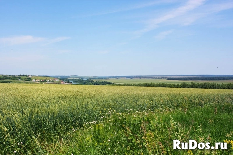 Земля у реки под строительство коттеджного поселка и базы отдыха фотка