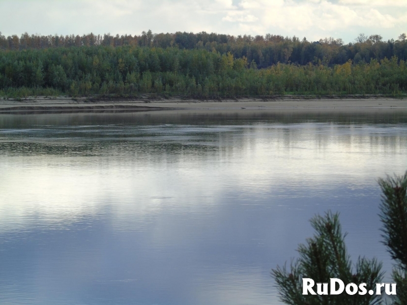 Остров 61 га в Оби изображение 5