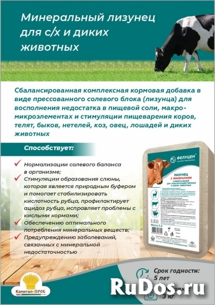 Универсальный лизунец 3кг. фото