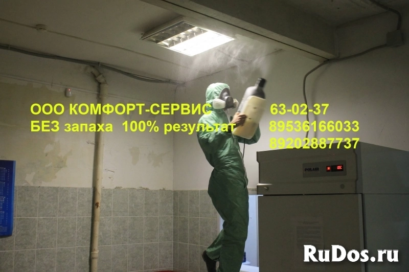 Уничтожение клопов в Орле без запаха изображение 5