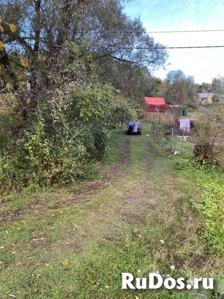 Дом 43 кв.м. с. Турово изображение 7