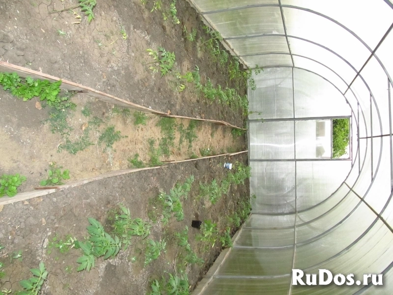 Дача СНТ Отдых изображение 12