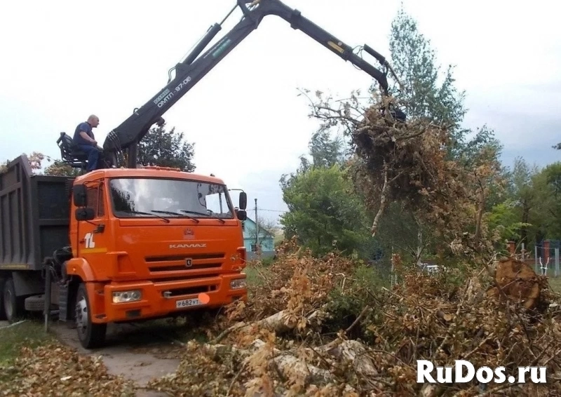 Вывоз досок, веток из сада самосвалом изображение 3