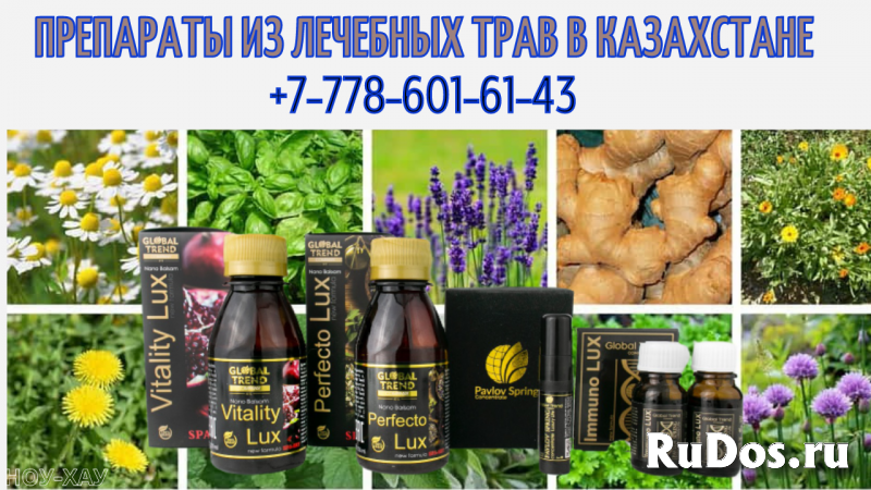 Лучшие лекарства из трав в Алматы фото
