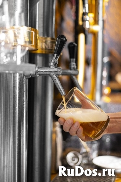 Продается действующий, полностью выстроенный B2B-бизнес в сфере оптовой продажи крафтового пива. изображение 9