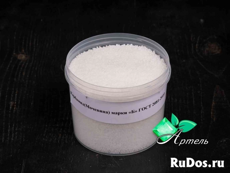 , купить растения фото