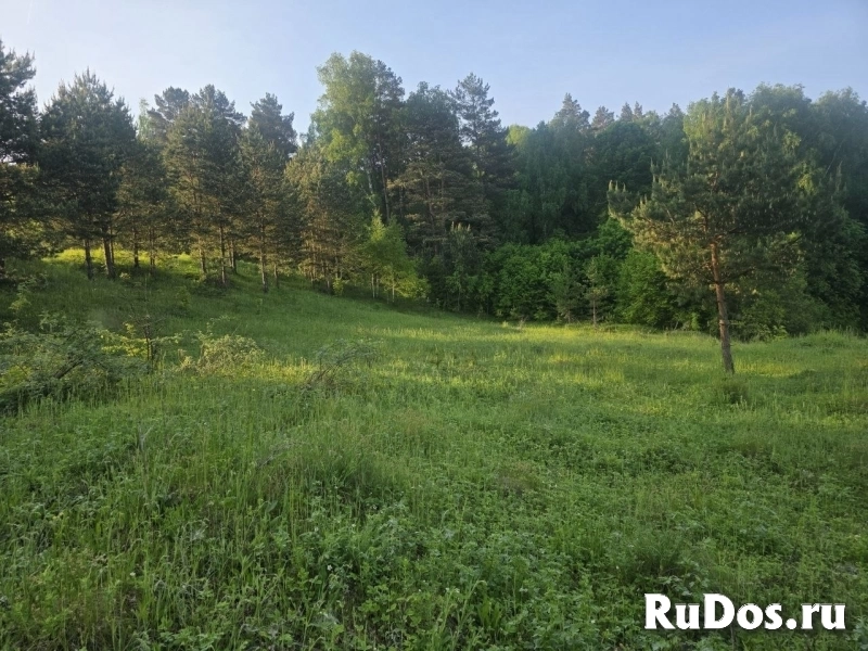 Продам участок 124 сот. изображение 6
